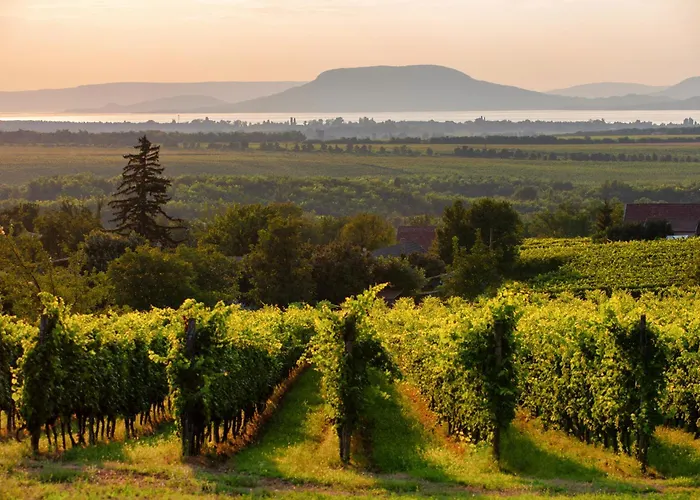 Holiday home In 19511 *